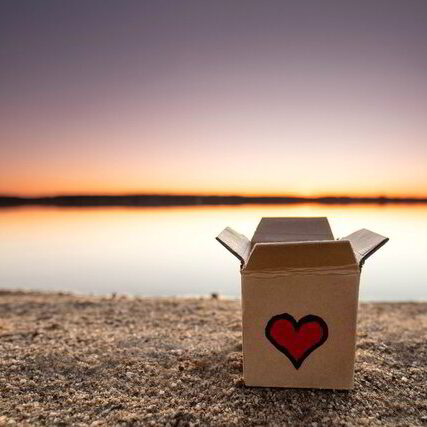 AdobeStock_250407439-1954145 AdobeStock_250407439-1954145