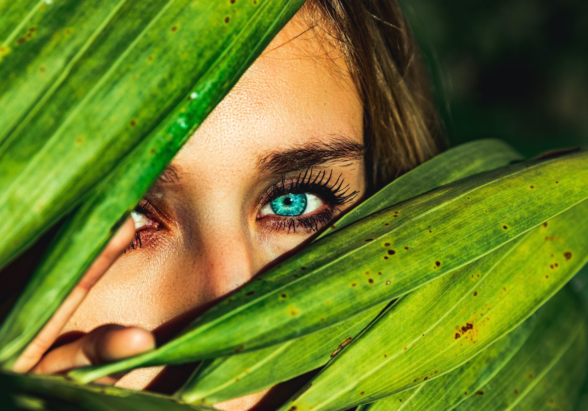 alex-iby-zhnKlABmTP0-unsplash alex-iby-zhnKlABmTP0-unsplash